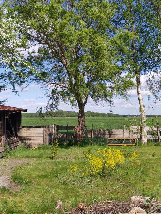 Boven De Wol Bed and Breakfast Appelscha Exterior foto